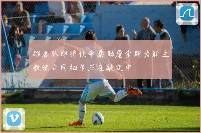 雄鹿队即将任命泰勒詹金斯为新主教练合同细节正在敲定中