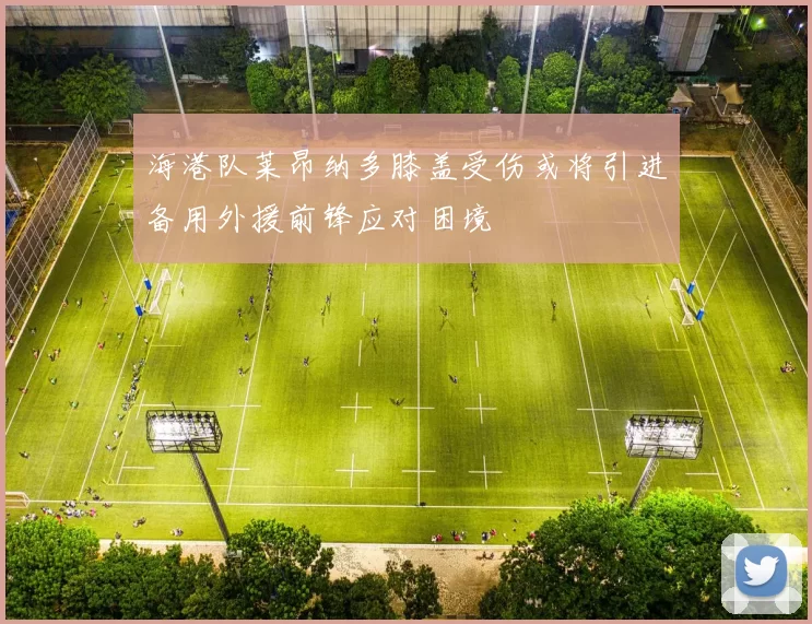 海港队莱昂纳多膝盖受伤或将引进备用外援前锋应对困境