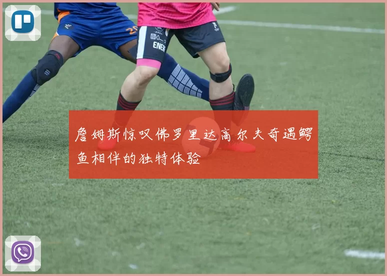 詹姆斯惊叹佛罗里达高尔夫奇遇鳄鱼相伴的独特体验